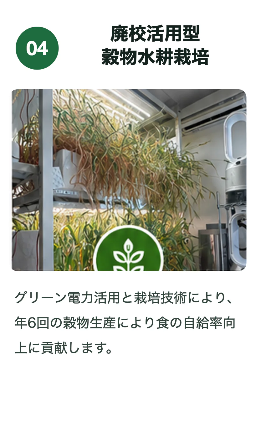 廃校活用型穀物水耕栽培