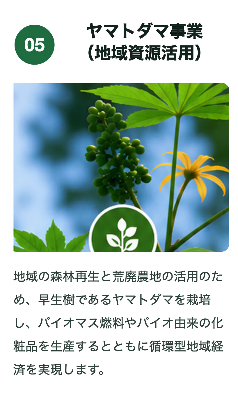 ヤマトダマ事業(地域資源活用)